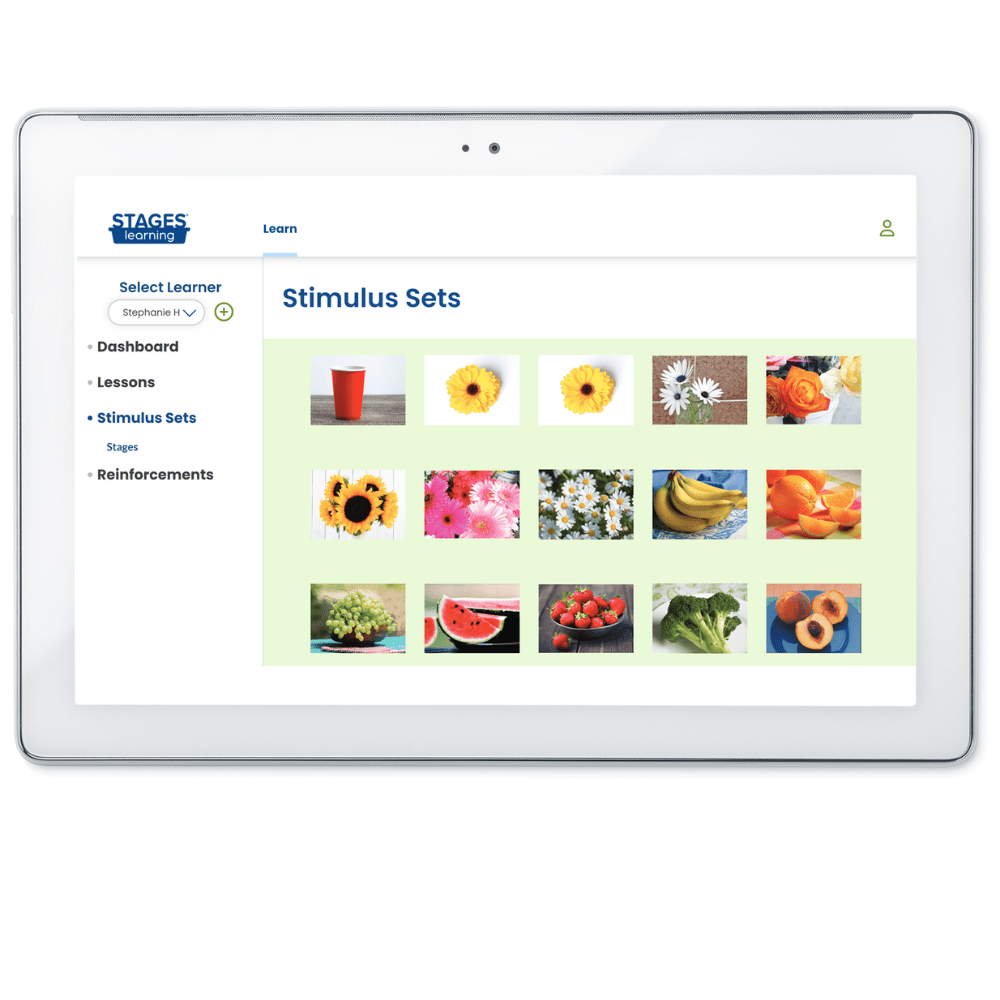 Language Builder Online Annual Subscription