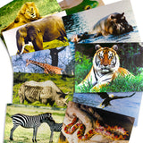 Animals and Insects Posters Mega Set