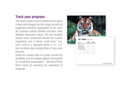 Language Builder: Picture Nouns- Tiger