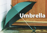 Everyday Objects Memory Matching Game- Green Umbrella