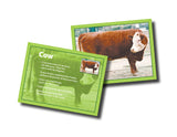 Farm Animal Puzzle with Fun Facts