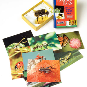Lang-O-Learn Insects & Bugs Cards