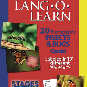 Lang-O-Learn Insects & Bugs Cards