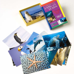 Lang-O-Learn Sea Life Cards