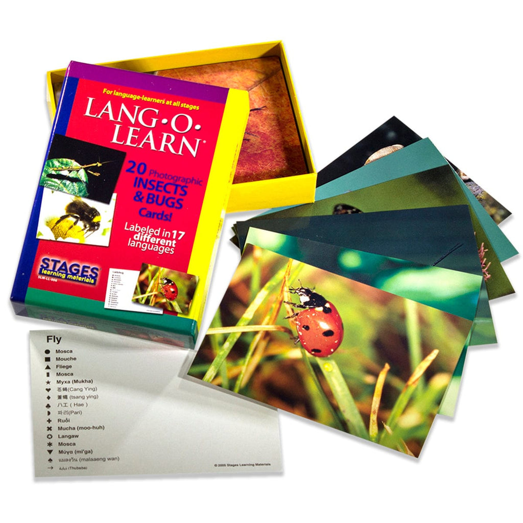 Lang-O-Learn Insects & Bugs Cards