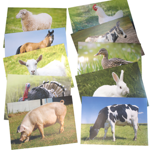 Farm Animals Poster Set