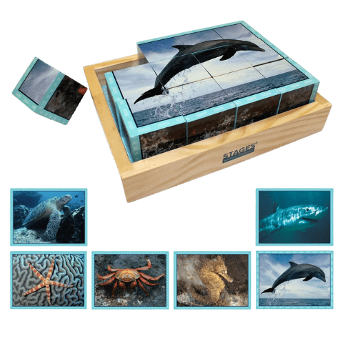 Sea Life Puzzle