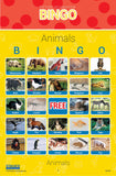 Picture Bingo - 5 Game Set