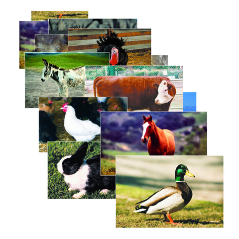 Farm Animals Poster Set