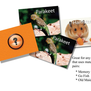 Pets Memory Card Game