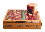 Fruit Cube Puzzle in the box