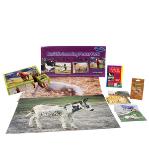Farm Theme Learning Kit