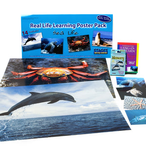 Sea Life Learning Kit