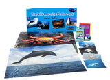 Sea Life Learning Kit