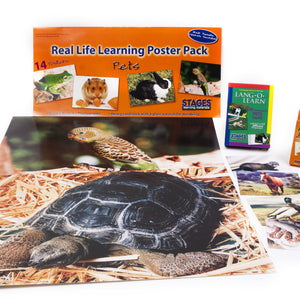 Pets Theme Learning Kit