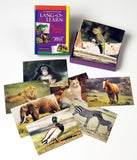 Lang-O-Learn Animal Cards for basic language skills to preschool age children
