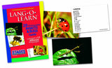 Lang-O-Learn Insects & Bugs Cards- lady bug and grasshopper