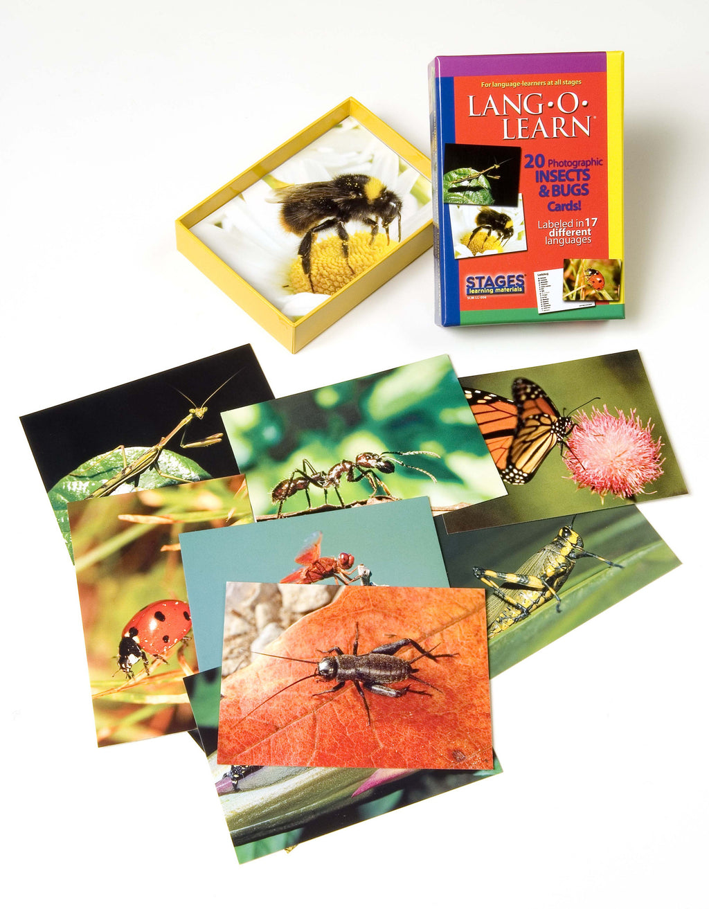 Lang-O-Learn Insects & Bugs Cards