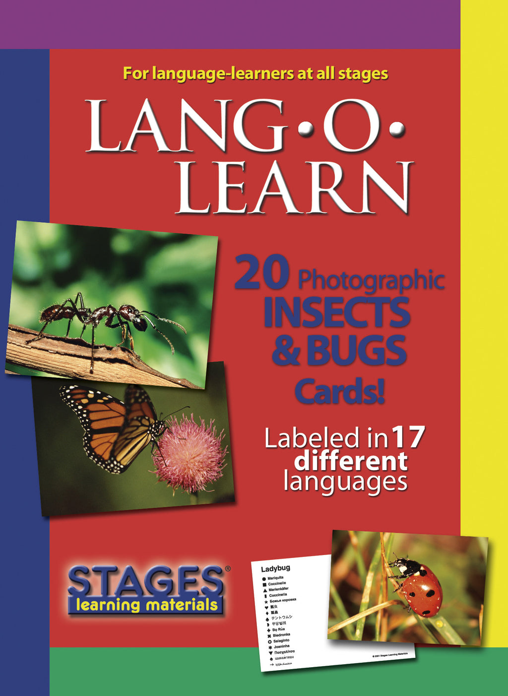 Lang-O-Learn Insects & Bugs Cards