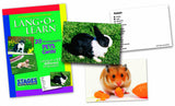 Lang-O-Learn Pets Cards- rabbit and hamster